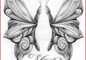 300x210 Simple Pencil Sketches Of Butterflies How To Draw A Butterfly - Butterfly Drawings In Pencil
