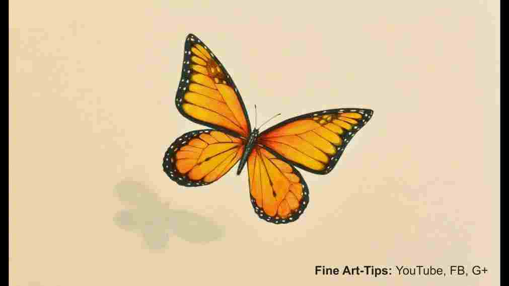 1011x569 Butterfly Drawings In Pencil Step - Butterfly Drawings In Pencil