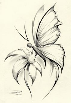 236x340 Drawings In Pencil Drawings - Butterfly Drawings In Pencil