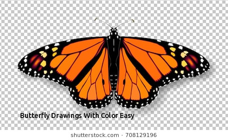 455x280 Butterfly Drawings With Color Easy Monarch Butterfly Stock S - Butterfly Drawings With Color
