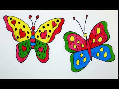 480x360 Color Butterfly, Butterfly Drawing, Color For Beginners, Draw - Butterfly Drawings With Color