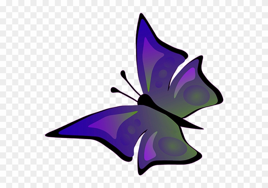 880x617 Flying Butterfly Clipart, Drawing Of Flying Butterfly - Butterfly Drawings With Color