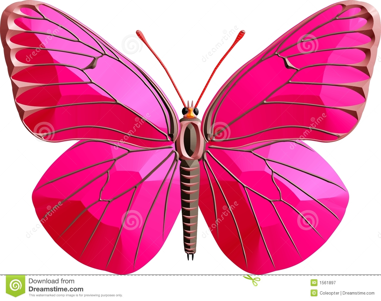 Ярко розовая бабочка