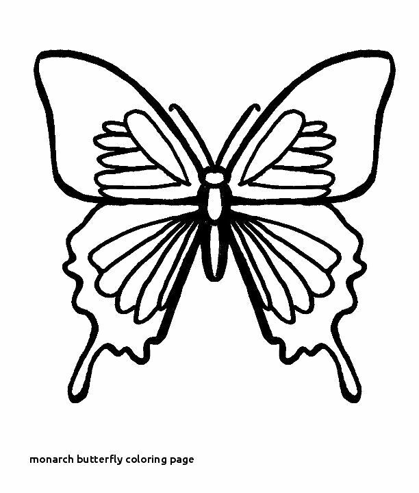 612x719 Little Butterfly Sketch With Color - Butterfly Drawings With Color