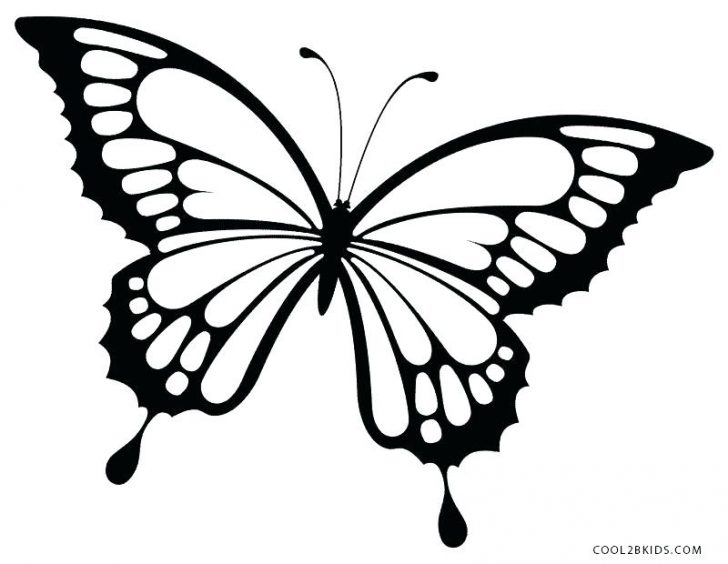 728x564 Butterfly Drawings Images With Color Tribal In Blue To Popular - Butterfly Drawings With Color