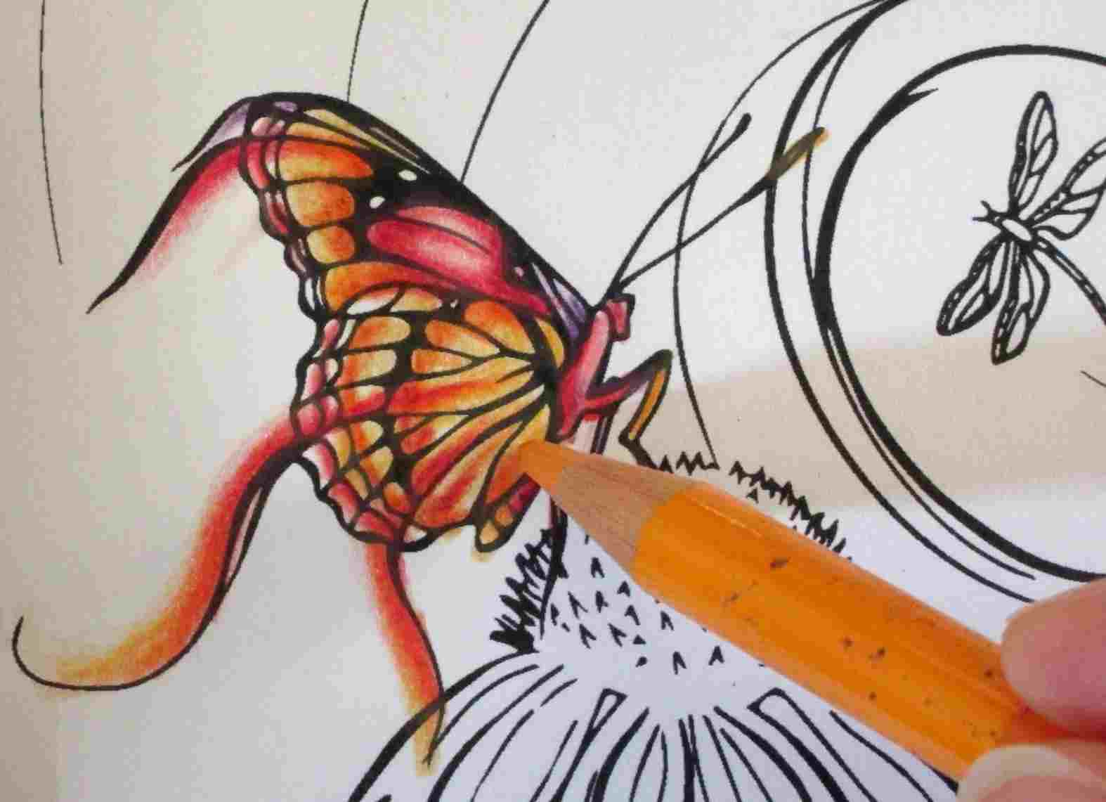 1574x1141 Butterfly Drawings With Color For Kids - Butterfly Drawings With Color