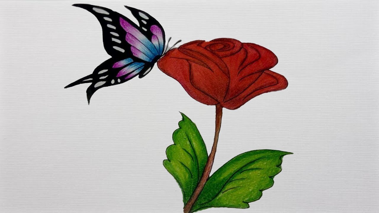 1280x720 Drawing A Butterfly How To Draw A Butterfly On A Flowerstep - Butterfly Flower Drawing