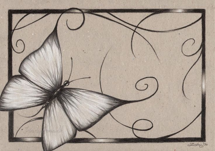 736x516 flowers drawings inspiration butterflies drawings zindy zone - Butterfly Flower Drawing