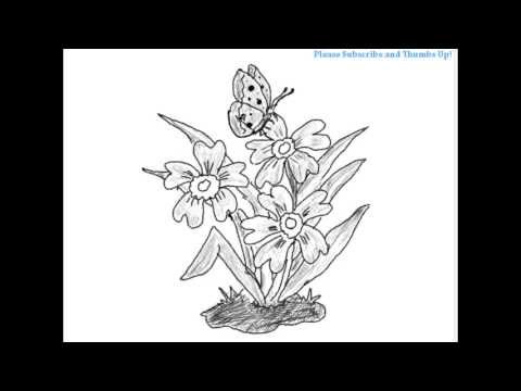 480x360 How To Draw A Beautiful Butterfly On The Flowers - Butterfly Flower Drawing
