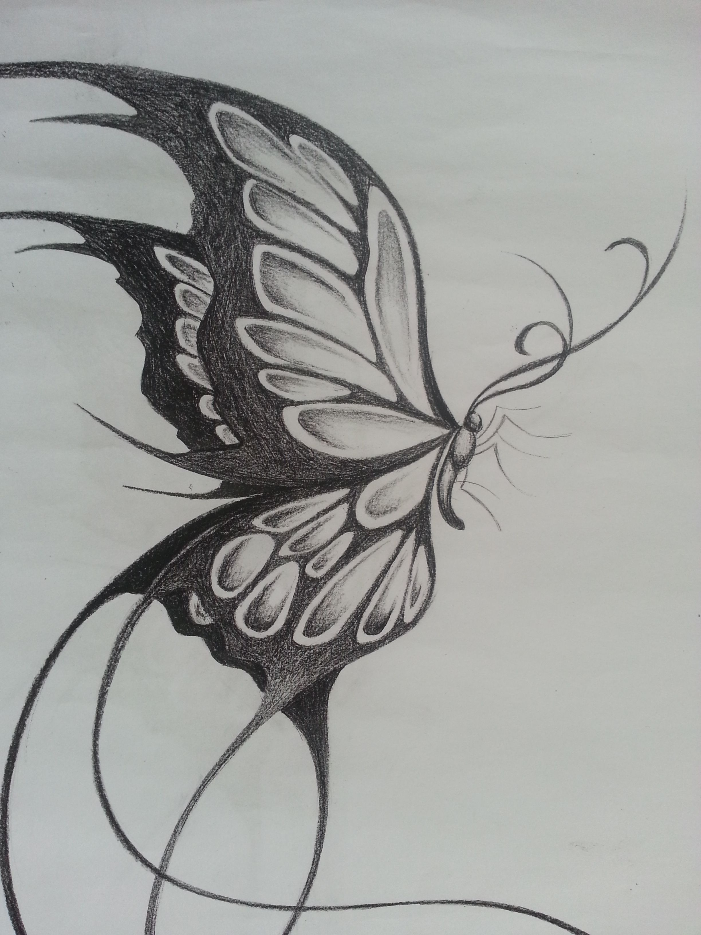 2448x3264 Butterfly On Flower Drawing In Pencil Pencil Drawing Of Butterfly - Butterfly Flower Drawing