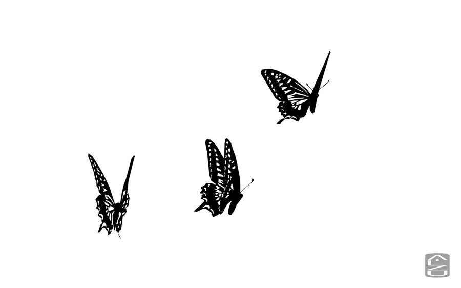 Butterfly Flying Drawing at PaintingValley.com | Explore collection of