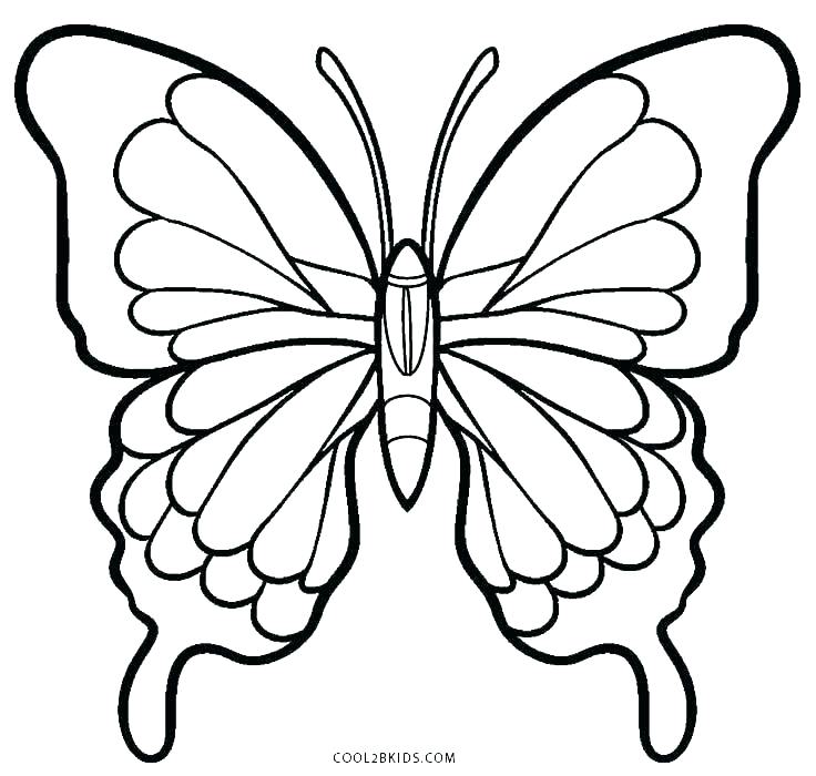 736x700 Color Butterfly Flying Isolated On White Drawings Search Printable - Butterfly Flying Drawing