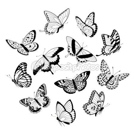 450x450 Flying Black White Butterflies Stock Illustration - Butterfly Flying Drawing