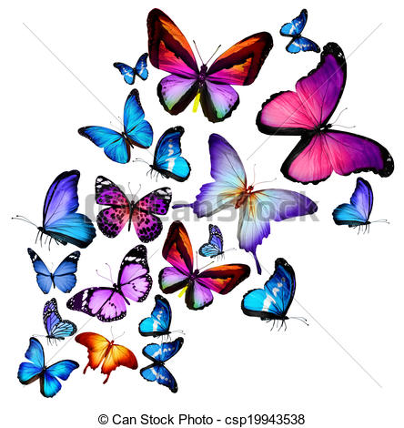 444x470 Huge Collection Of 'butterflies Flying Drawing' Download More - Butterfly Flying Drawing