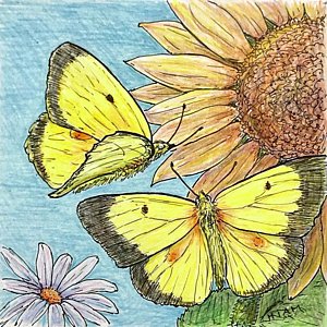 300x300 Butterfly Garden Drawings - Butterfly In Garden Drawing