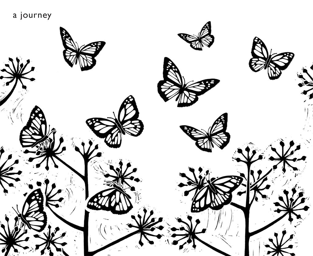 1020x836 the butterfly garden laura weston books - Butterfly In Garden Drawing