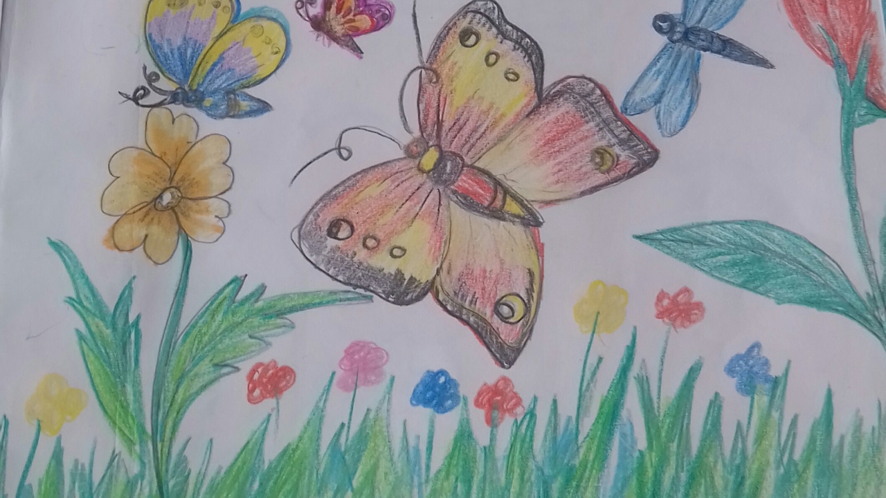 1280x720 How To Draw Beautiful Butterflies In A Garden - Butterfly In Garden Drawing
