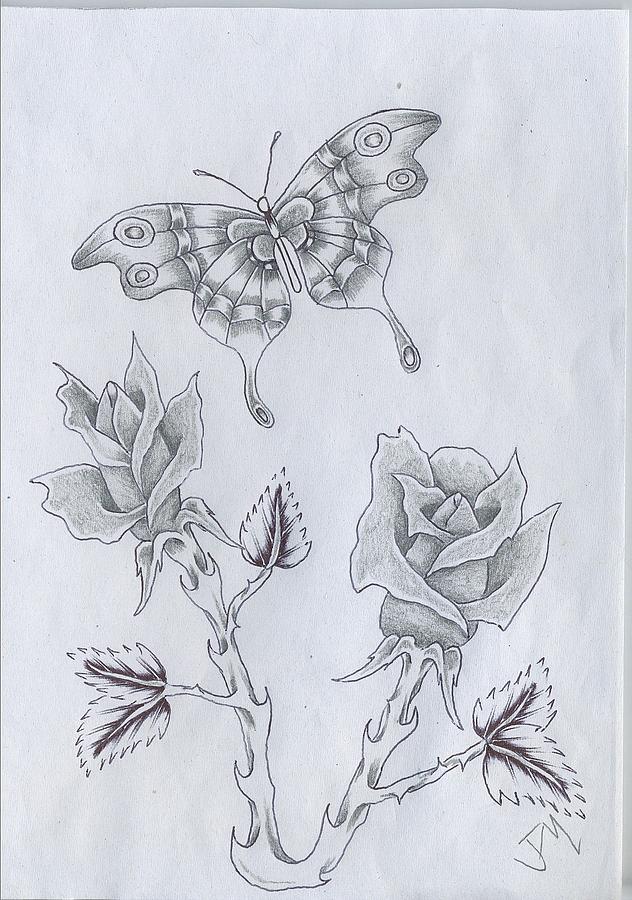 632x900 Butterfly Garden Drawing - Butterfly In Garden Drawing