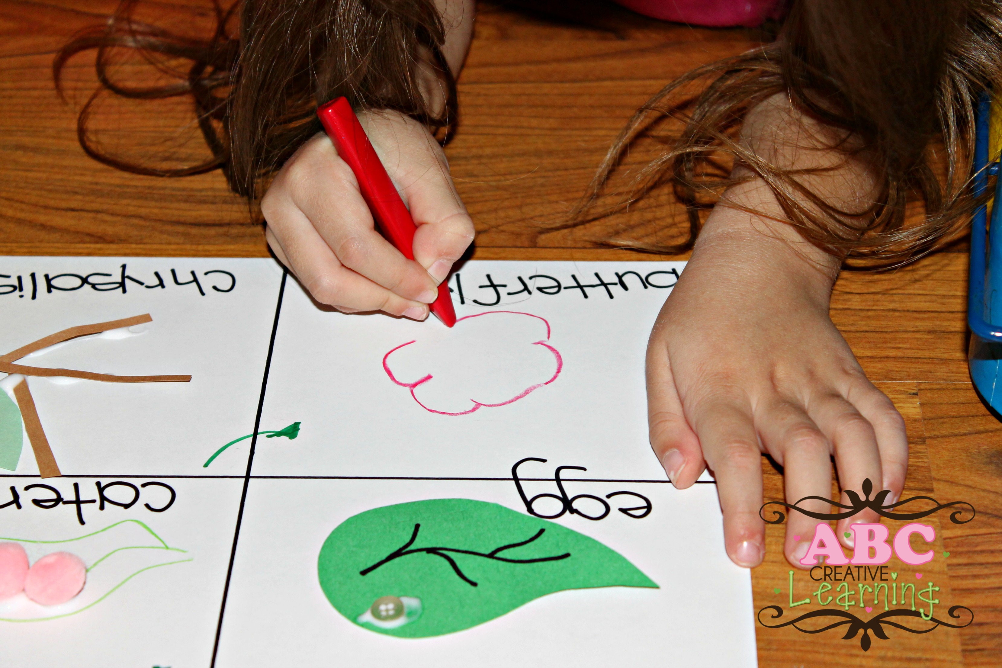 3318x2212 Butterfly Life Cycle Craft Homeschooling Lesson - Butterfly Life Cycle Drawing