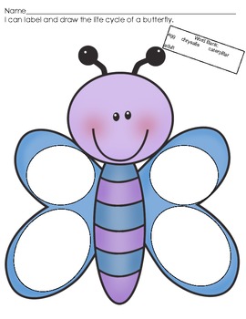 270x350 Butterfly Life Cycle Draw And Label - Butterfly Life Cycle Drawing