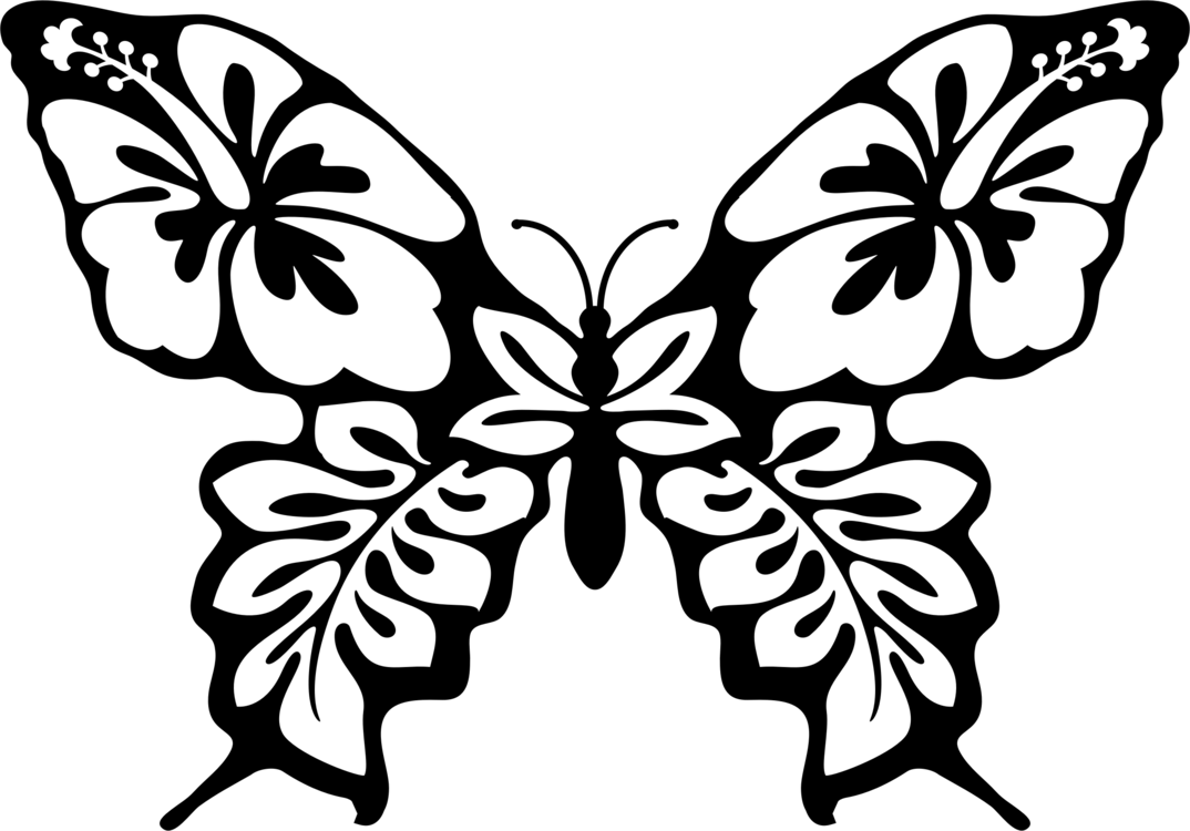 1074x750 Butterfly Line Art Drawing Cc0 - Butterfly Line Drawing