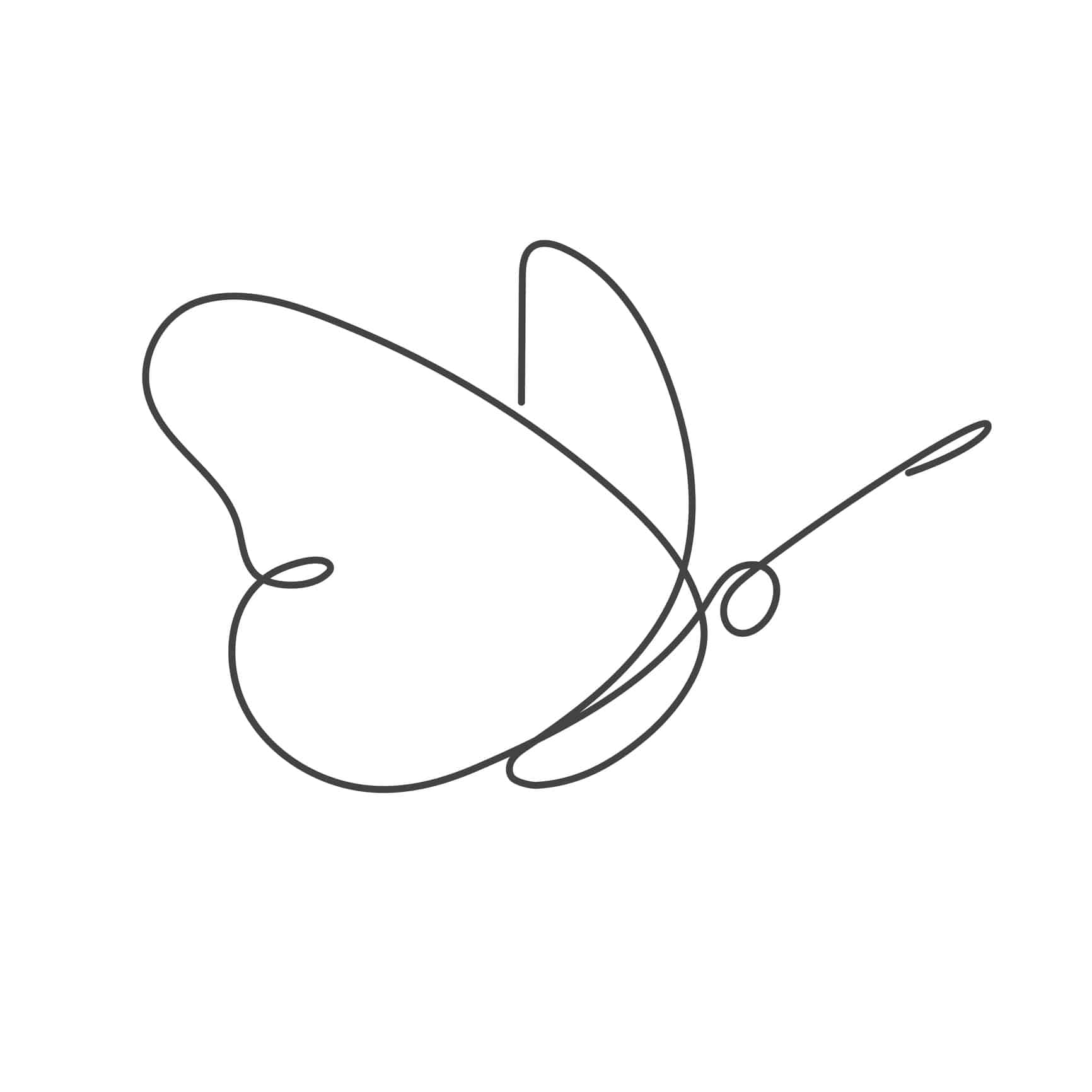 1732x1732 Continuous Line Butterfly White One Line Drawing - Butterfly Line Drawing
