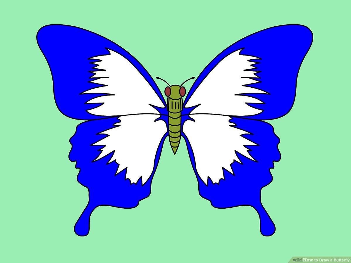 1200x900 Ways To Draw A Butterfly Step - Butterfly Line Drawing