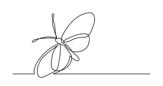 320x169 Self Drawing Animation Of Single Line Drawing Of Butterfly Motion - Butterfly Line Drawing