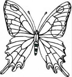 236x254 Line Art Drawings Of Butterflies Black White Line Drawing - Butterfly Line Drawing