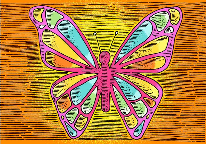 700x490 Butterfly Line Drawing - Butterfly Line Drawing