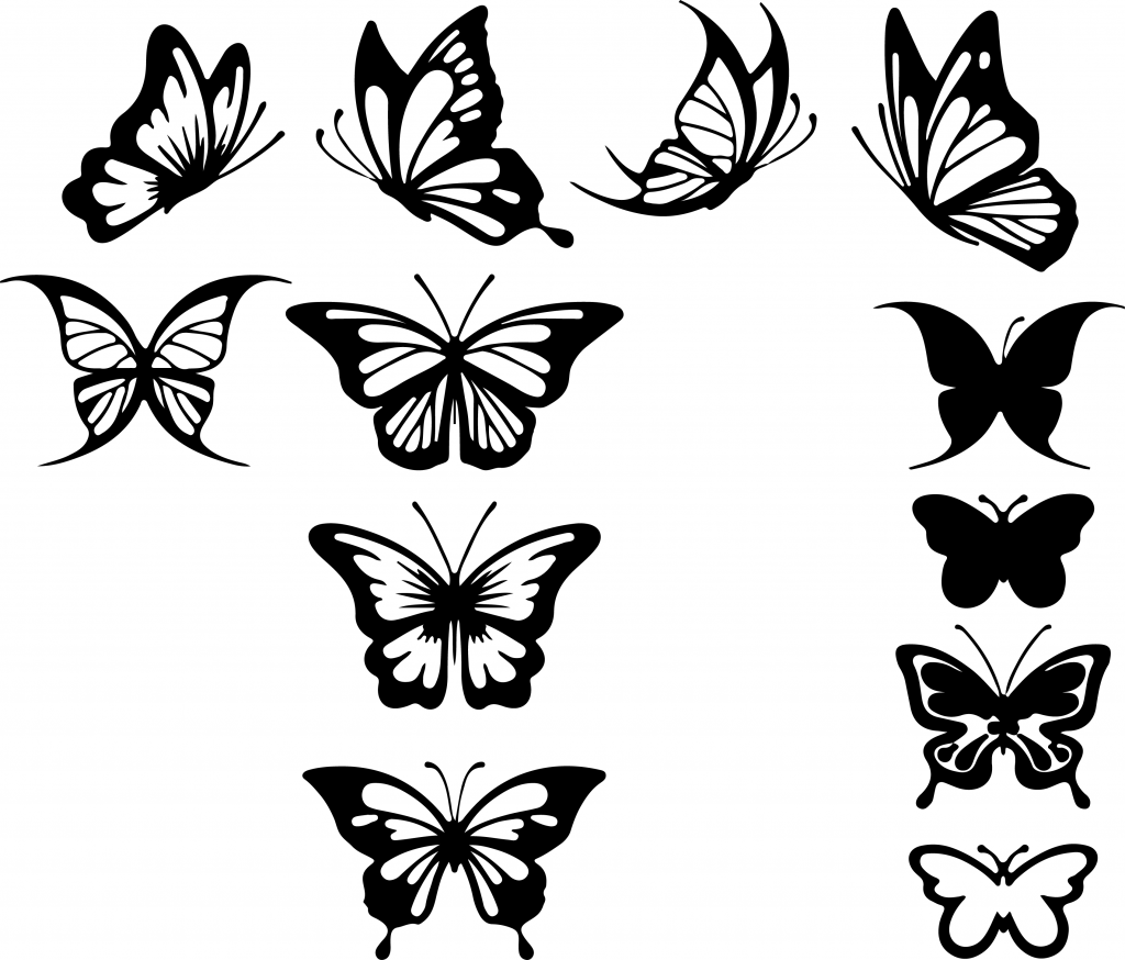 1024x874 Butterfly Out Line Tacho Einstellung - Butterfly Line Drawing Images