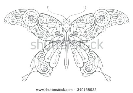 450x314 butterfly outline drawing butterfly coloring - Butterfly Line Drawing Images
