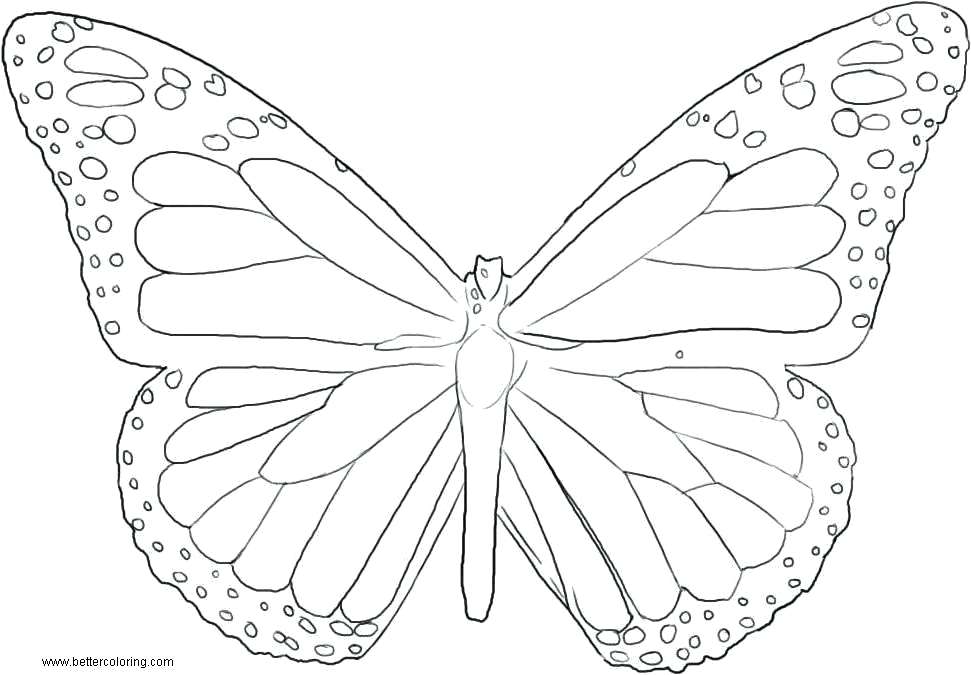 971x675 Coloring Pages For Adults Online Pokemon Teens Butterflies Line - Butterfly Line Drawing Images