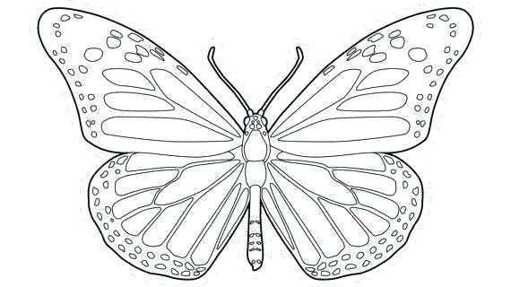 570x320 Drawing Templates Site Image With Line - Butterfly Line Drawing Images