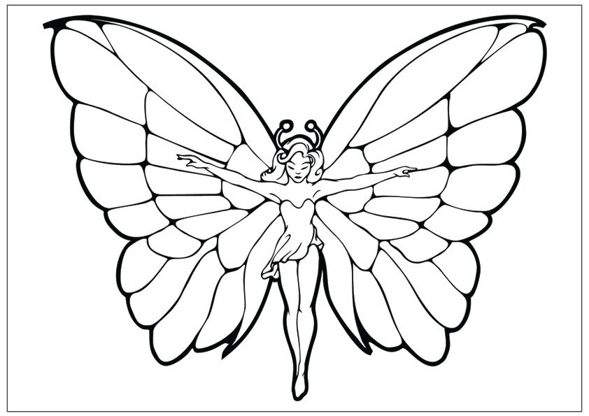 842x595 Line Drawing Coloring Pages Butterfly Fairy Butterfly Sketch - Butterfly Line Drawing Images