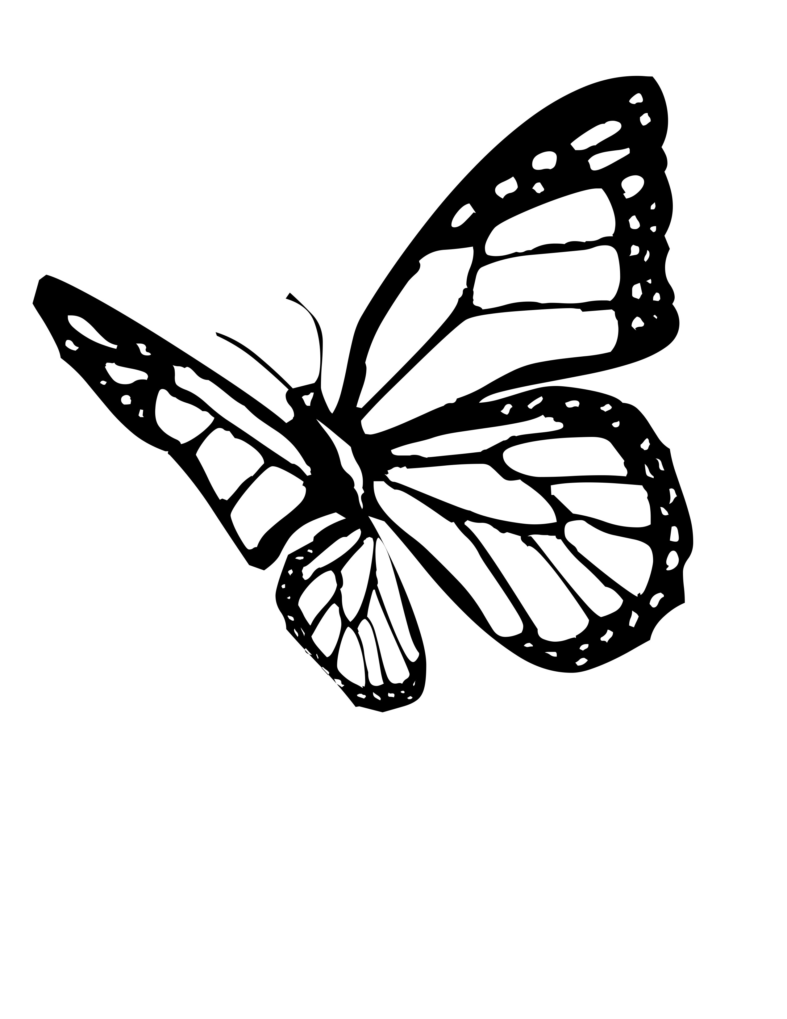 2550x3300 Monarch Butterfly Line Drawing - Butterfly Line Drawing Images