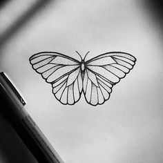 236x236 Simple Butterfly Line Drawing Card Ideas Simple Butterfly - Butterfly Line Drawing Images