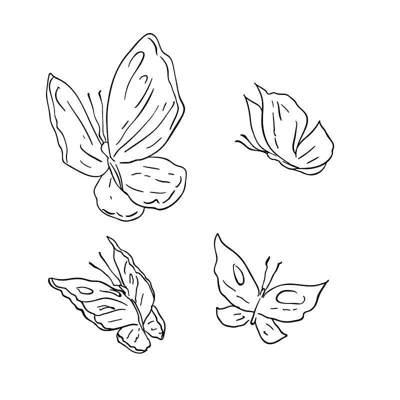 Butterfly Line Drawing Images at PaintingValley.com | Explore ...