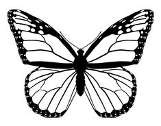 235x184 Line Art Drawings Of Butterflies Black White Line Drawing - Butterfly Line Drawing Images
