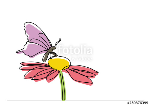 500x354 Single Line Drawing Of Butterfly And Flowers Stock Image - Butterfly Line Drawing Images