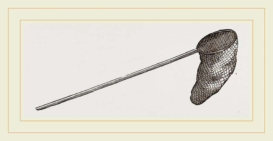 900x467 butterfly net drawing - Butterfly Net Drawing