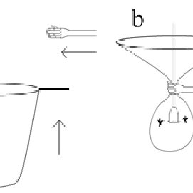 271x271 method for capturing hummingbirds with butterfly net download - Butterfly Net Drawing