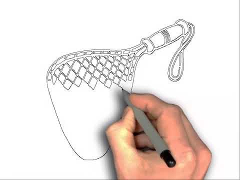 480x360 how to draw a butterfly net - Butterfly Net Drawing