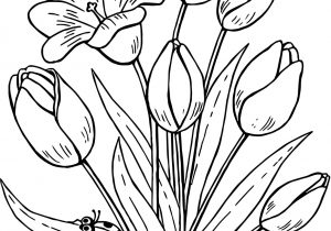 300x210 Draw Butterfly On Flower - Butterfly On Flower Drawing