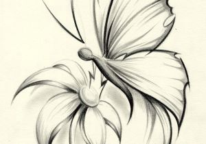 300x210 Art Design - Butterfly On Flower Drawing