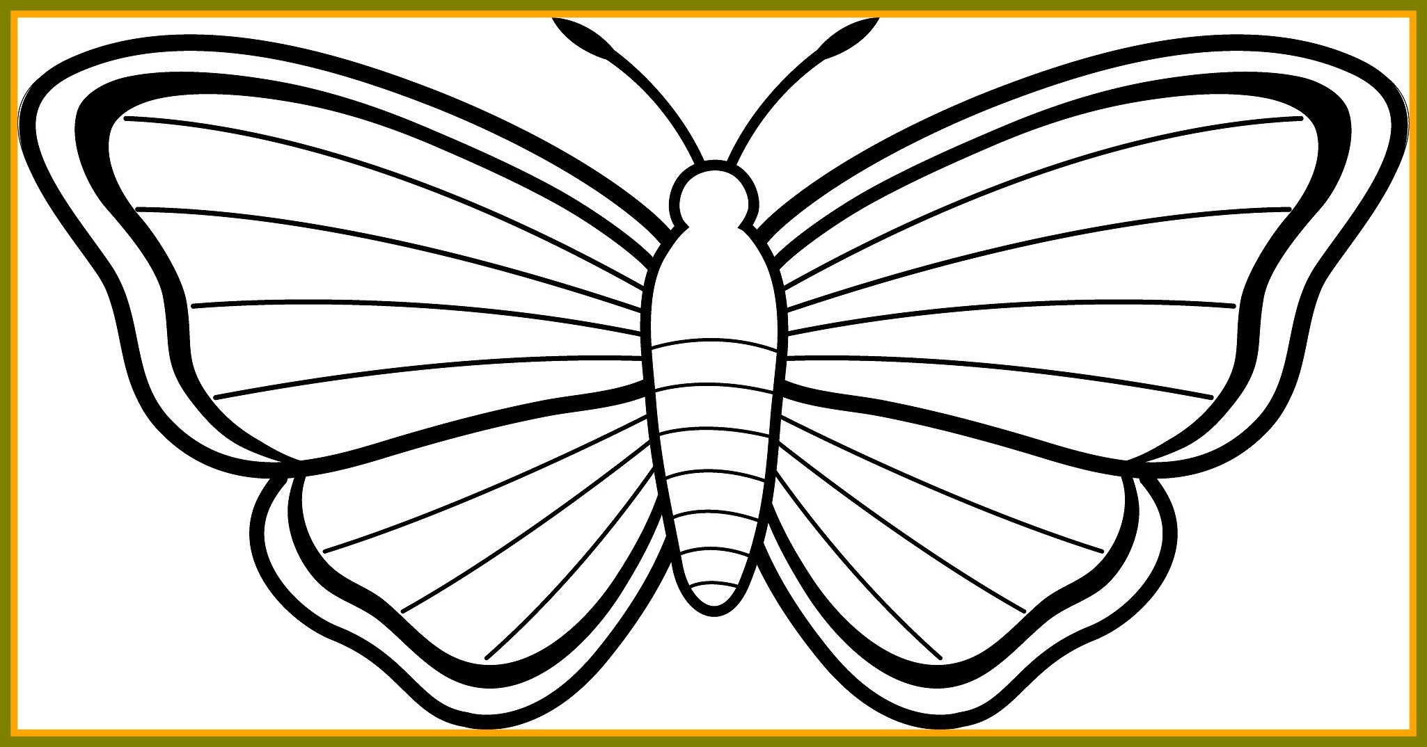 2050x1074 Easter Butterfly Coloring - Butterfly On Flower Drawing