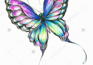 300x210 Flower With Butterfly Color Sketch Stepstep How To Draw - Butterfly On Flower Drawing