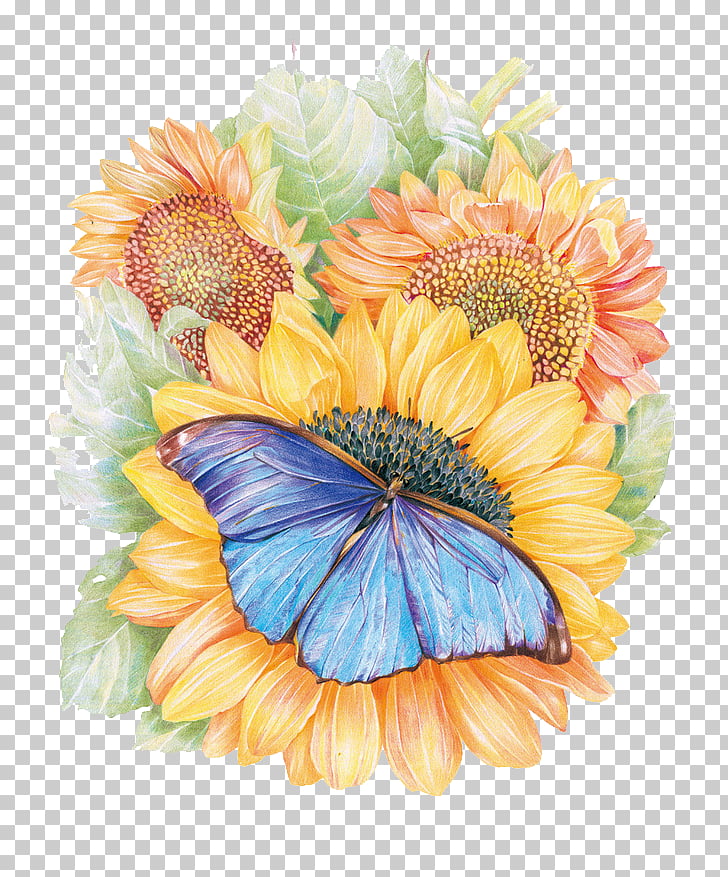 728x877 Monarch Butterfly Flower Drawing Painting, Sunflower, Blue - Butterfly On Flower Drawing