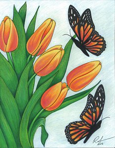 232x300 Butterfly Flower Drawings - Butterfly On Flower Drawing