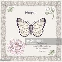 200x200 Butterfly And Rose Drawing Stock Vectors - Butterfly On Rose Drawing
